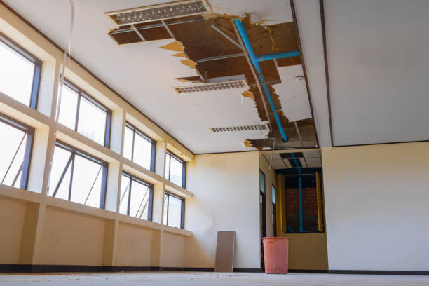 Best Ceiling water damage repair  in Locust Fork, AL