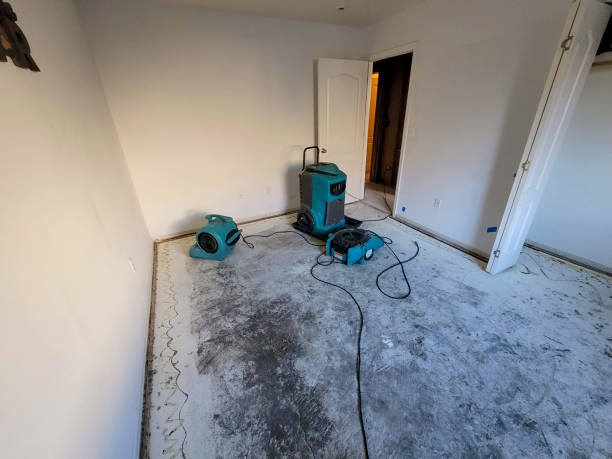 Best Professional water damage repair  in Locust Fork, AL