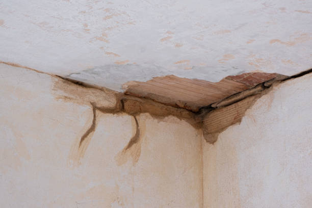 Best Local water damage restoration  in Locust Fork, AL