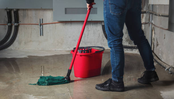Best Flooded house restoration  in Locust Fork, AL