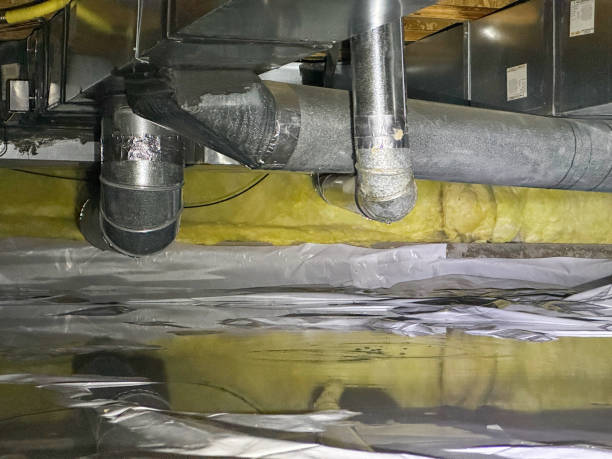Professional Water damage restoration in Locust Fork, AL