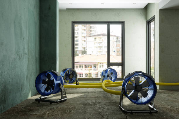 Best Water damage contractors near me  in Locust Fork, AL